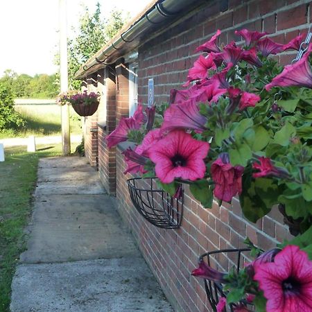 Bed and Breakfast Lockgate Dairy Chichester Esterno foto