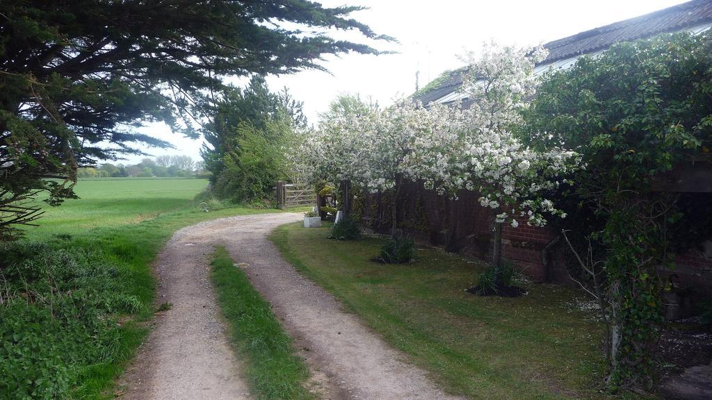 Bed and Breakfast Lockgate Dairy Chichester Esterno foto