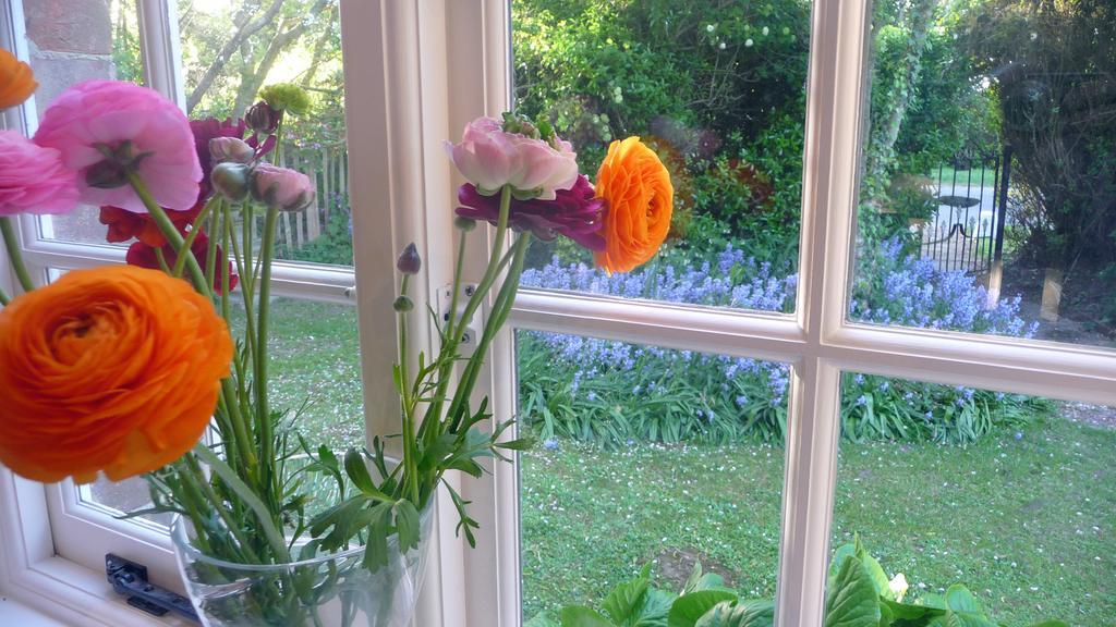 Bed and Breakfast Lockgate Dairy Chichester Esterno foto