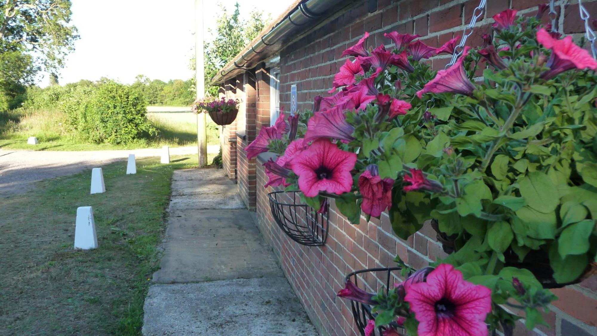 Bed and Breakfast Lockgate Dairy Chichester Esterno foto