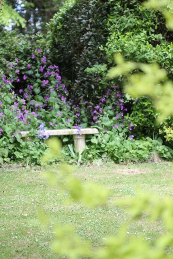 Bed and Breakfast Lockgate Dairy Chichester Esterno foto