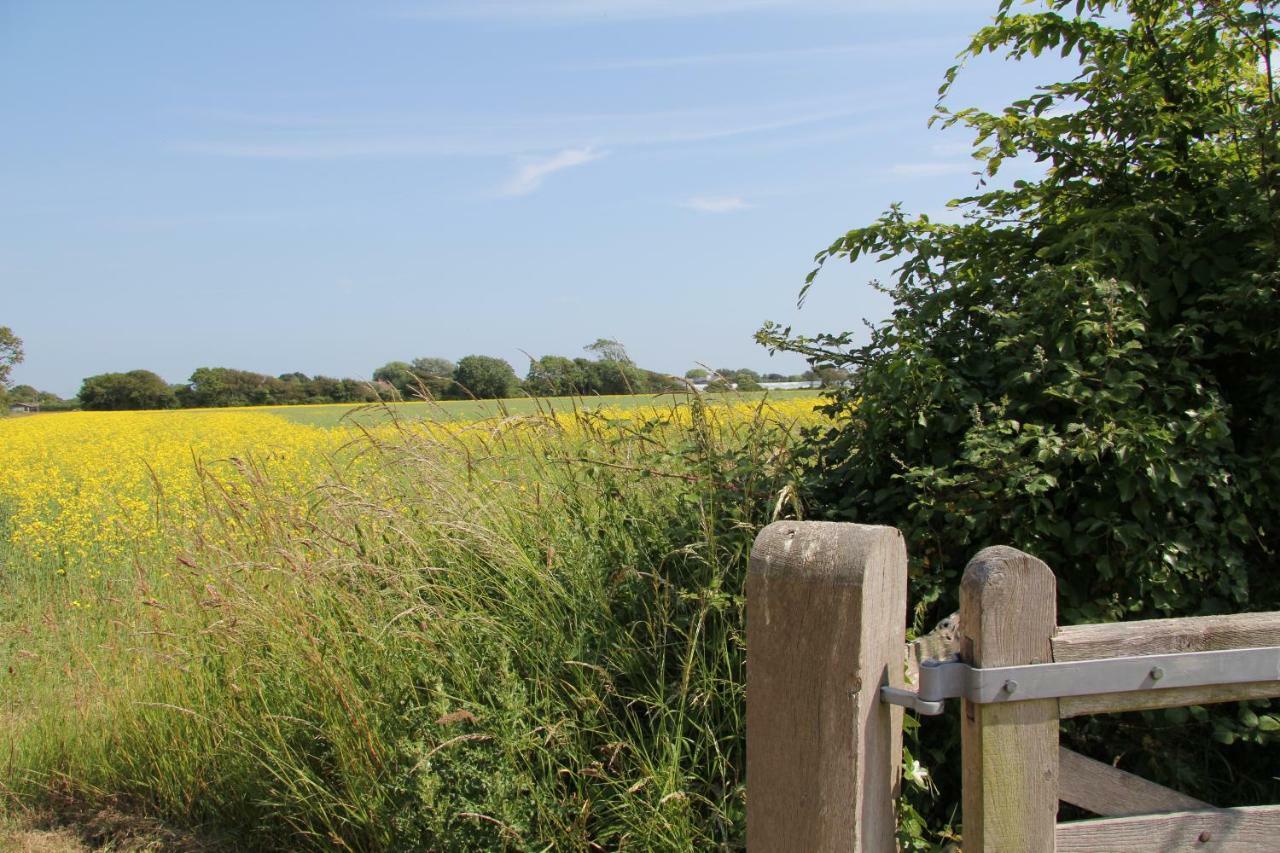 Bed and Breakfast Lockgate Dairy Chichester Esterno foto
